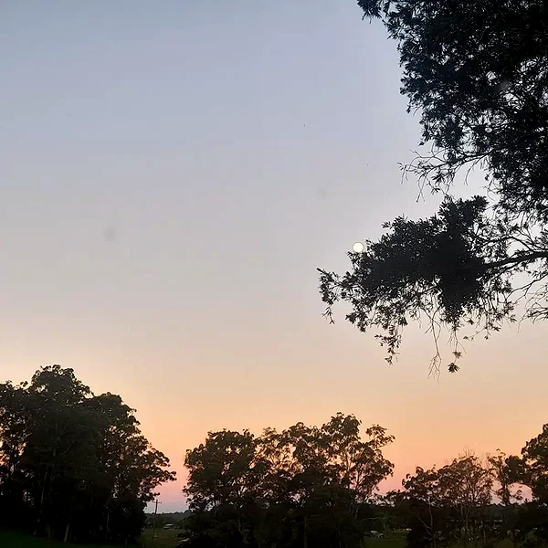 ayliehayward instagram image archive image