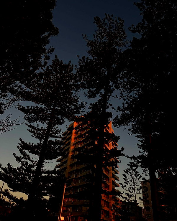 allygravemade instagram image archive image
