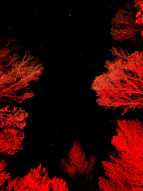 nomagdalina instagram image archive image