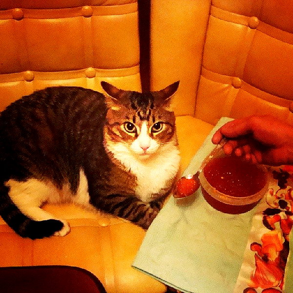 sychevskaya instagram image archive image