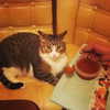 sychevskaya Altpins Profile Picture