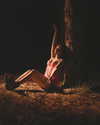 shai_landau_ Altpins Profile Picture