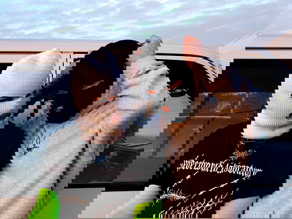 annfigmax image ~ Altpins