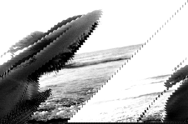 ting851204 ting851204 archive image