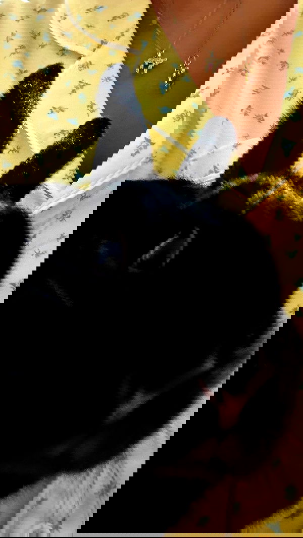 efrat_elmalich efrat_elmalich archive image