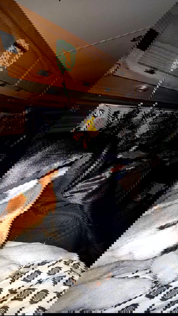 zommmbri zommmbri archive image