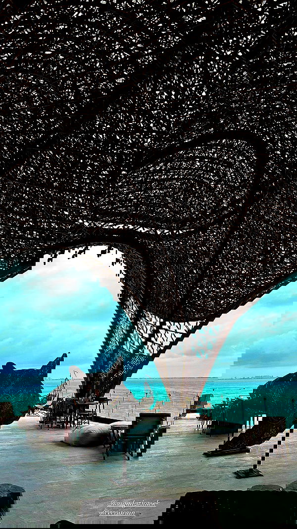 taylor.creeden taylor.creeden archive image