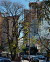rouxroux.tv Altpins Profile Picture