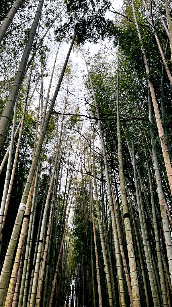 tamar_tsur instagram image archive image