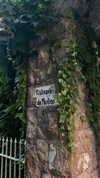 maya.keyy Altpins Profile Picture