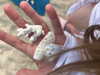 llinolinaa Altpins Profile Picture