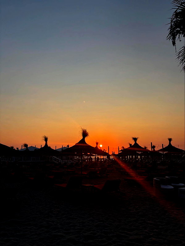 borkwsmh instagram image archive image