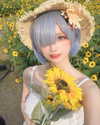 erokochiba Altpins Profile Picture