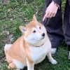 pavuk1_0 Altpins Profile Picture