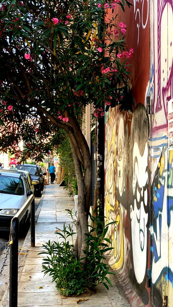 eva_romanovski instagram image archive image