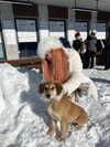 liori_hen Altpins Profile Picture