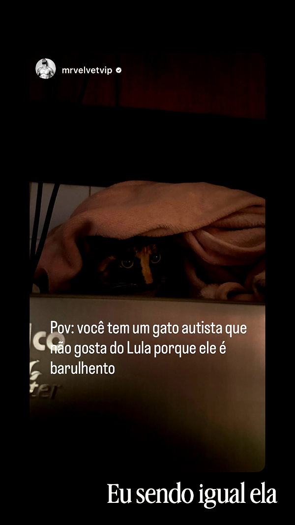 Archived image from @arabelladourado on Instagram