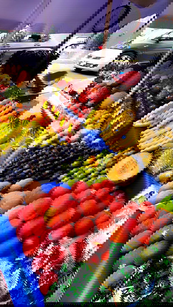 taylor.creeden taylor.creeden archive image