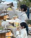 ____sy.02 Altpins Profile Picture