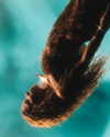 shakira Altpins Profile Picture