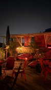 dina_shrago Altpins Profile Picture