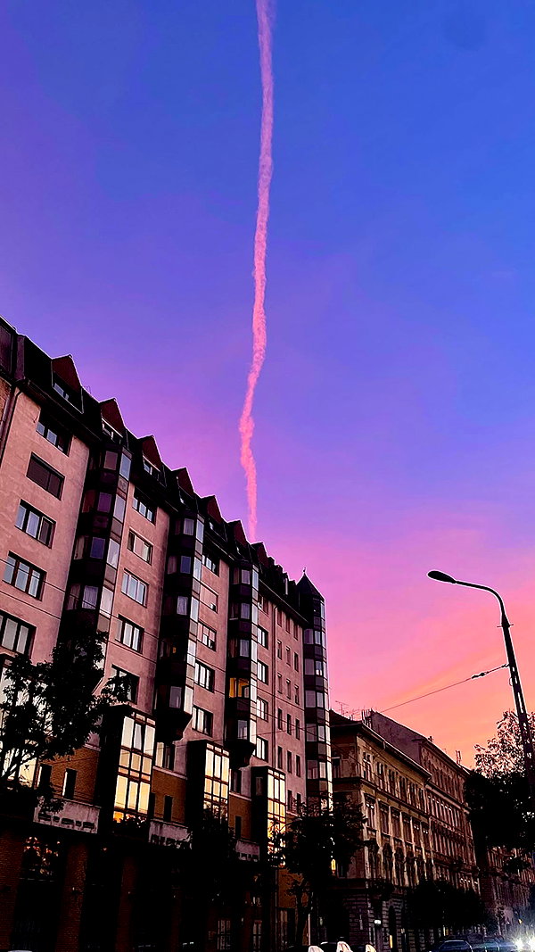 borkwsmh instagram image archive image