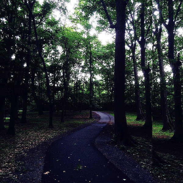 hallucineon instagram image archive image
