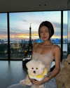 ll.lu1s Altpins Profile Picture