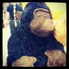 muze Altpins Profile Picture