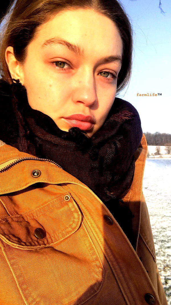 gigihadid instagram image archive image