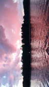 elizabethcampbelljones Altpins Profile Picture