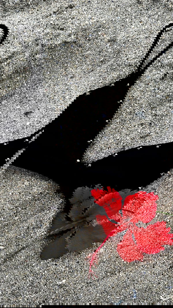 taylor.creeden taylor.creeden archive image