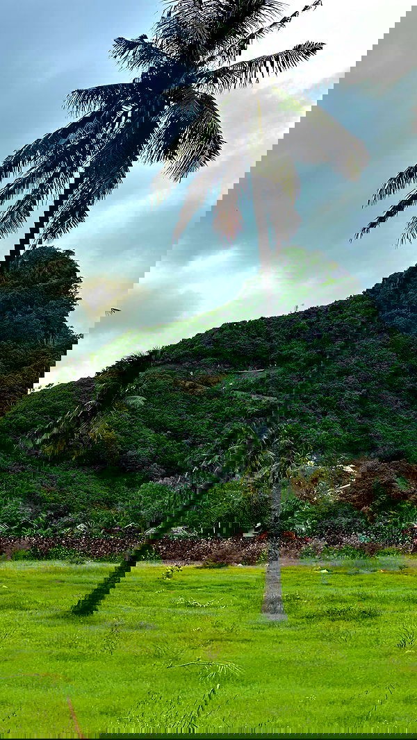 taylor.creeden taylor.creeden archive image