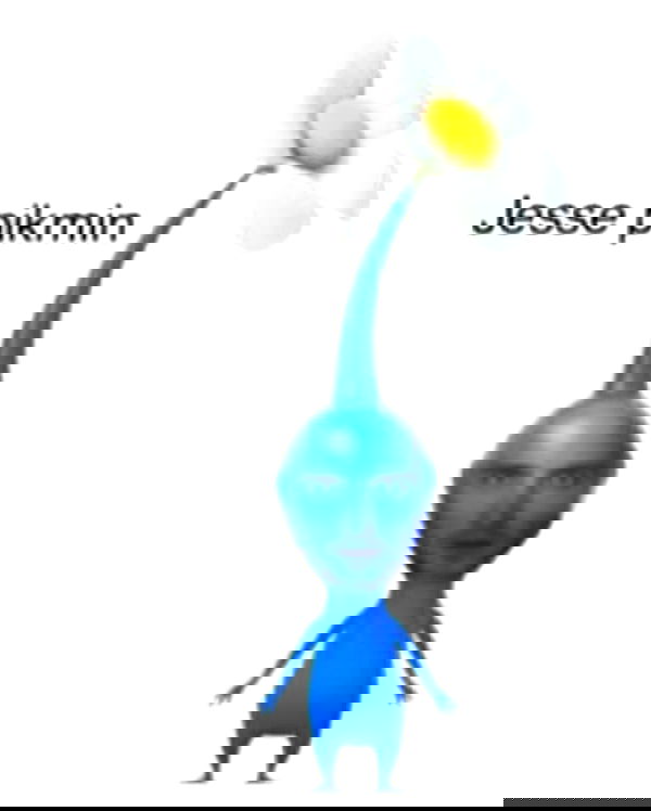 silkton image ~ Altpins