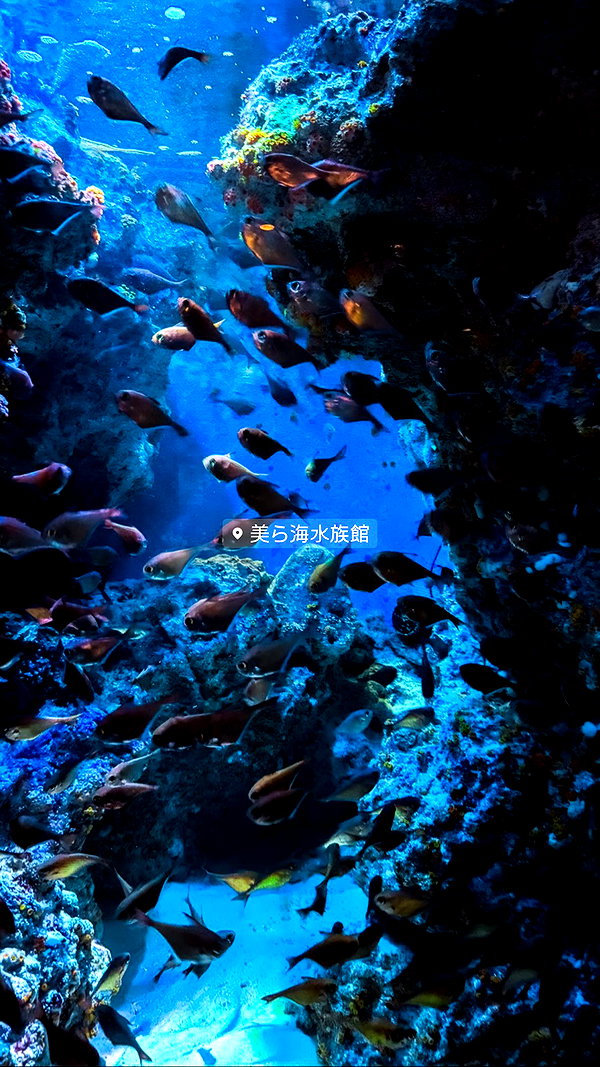 nanasemeron instagram image archive image