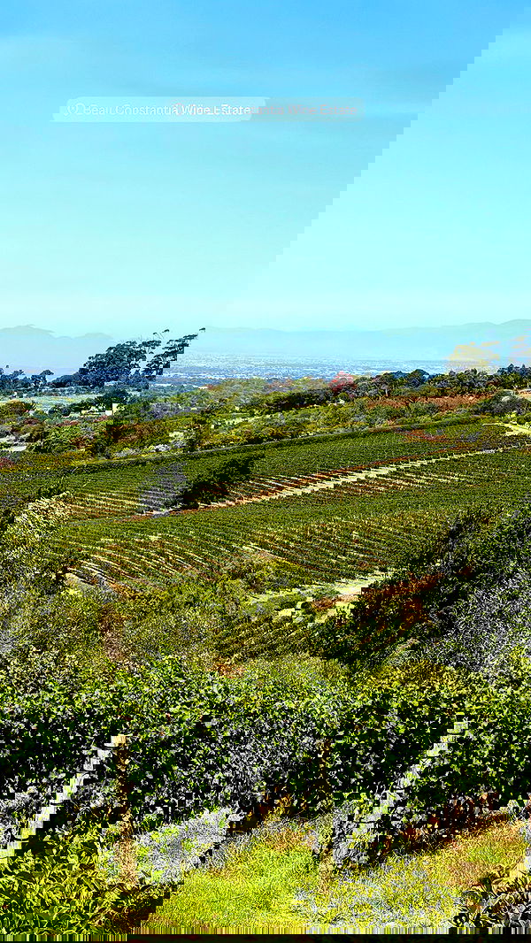 taylor.creeden taylor.creeden archive image