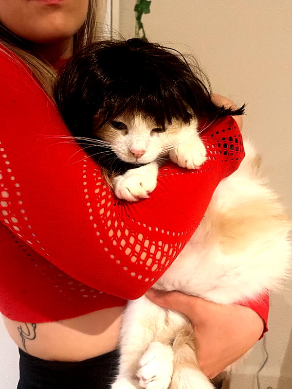 charley.chambers instagram image archive image