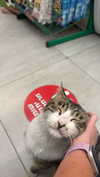 liiza_maarchuk Altpins Profile Picture