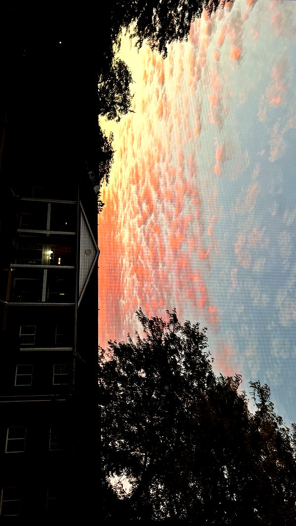 jeanlouiee instagram image archive image