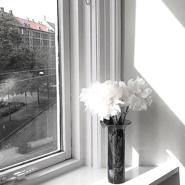 nixqq.425_ instagram image archive image