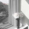 nixqq.425_ Altpins Profile Picture