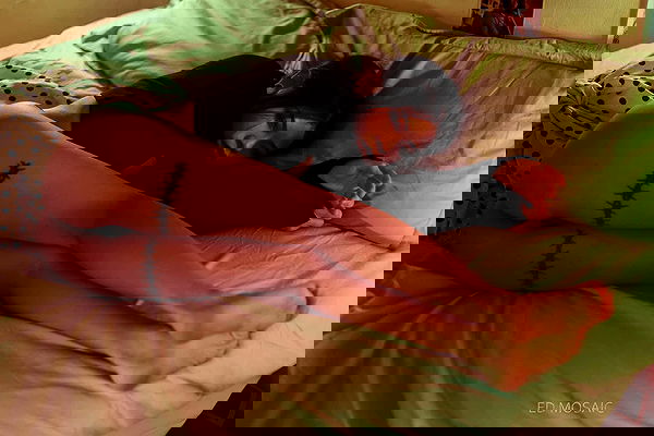 ting851204 ting851204 archive image