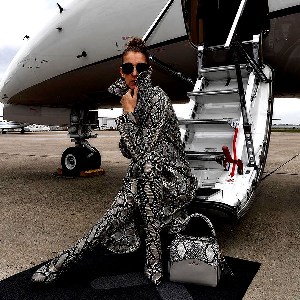 celinedion instagram image archive image