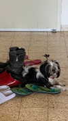 babynympho_archive Altpins Profile Picture