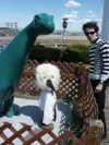lowrtown Altpins Profile Picture