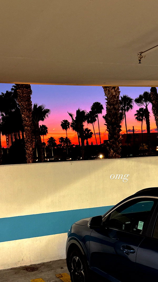 shulunc instagram image archive image