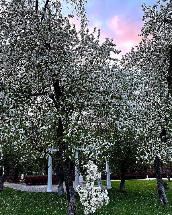 llofreaki instagram image archive image