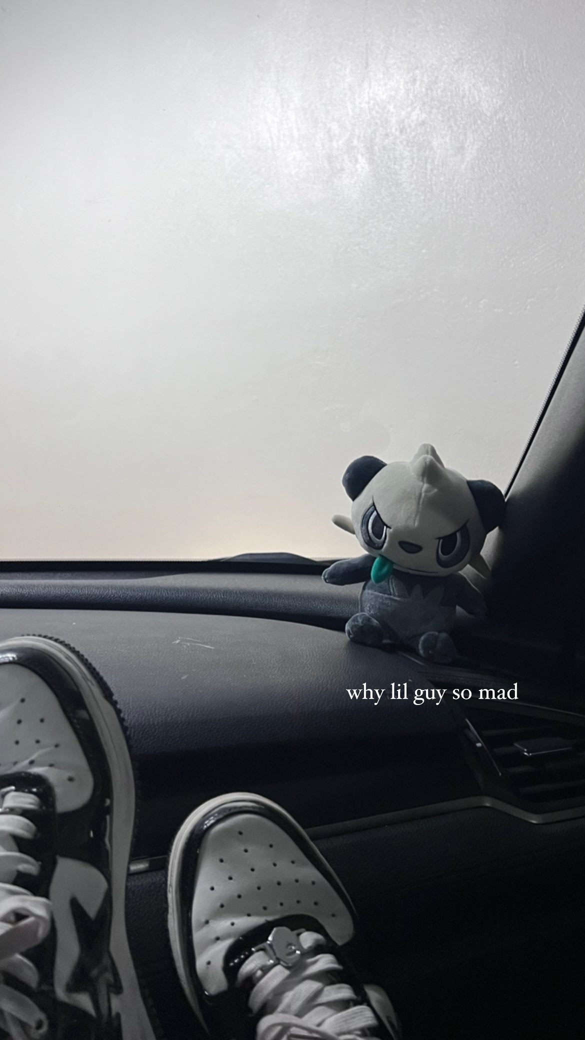 leonanaomii instagram image archive image