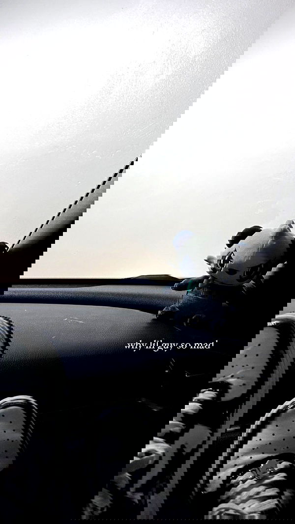 leonanaomii image ~ Altpins