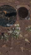 alisen.mari Altpins Profile Picture